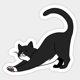 Black n White Cat Stretch Sticker